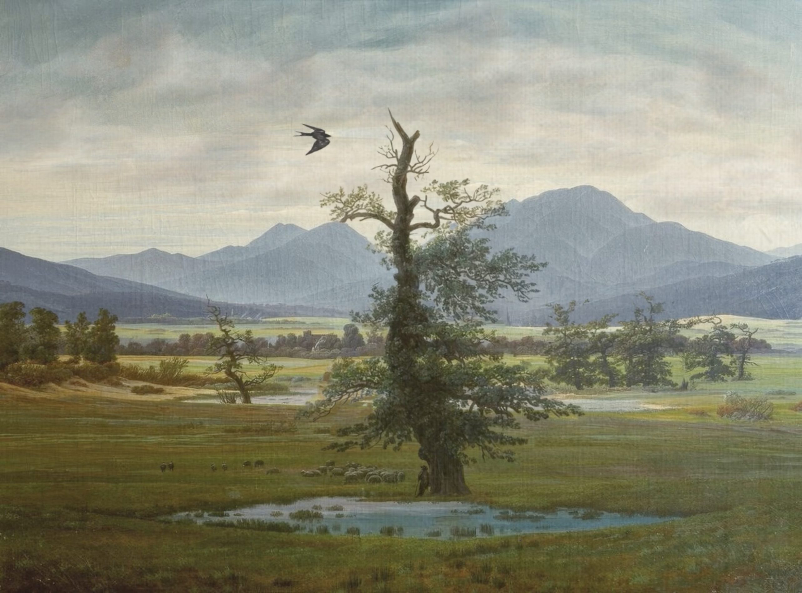 Moving Art thumbnail